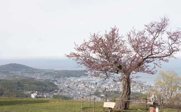 3月も残すところ今週だけ